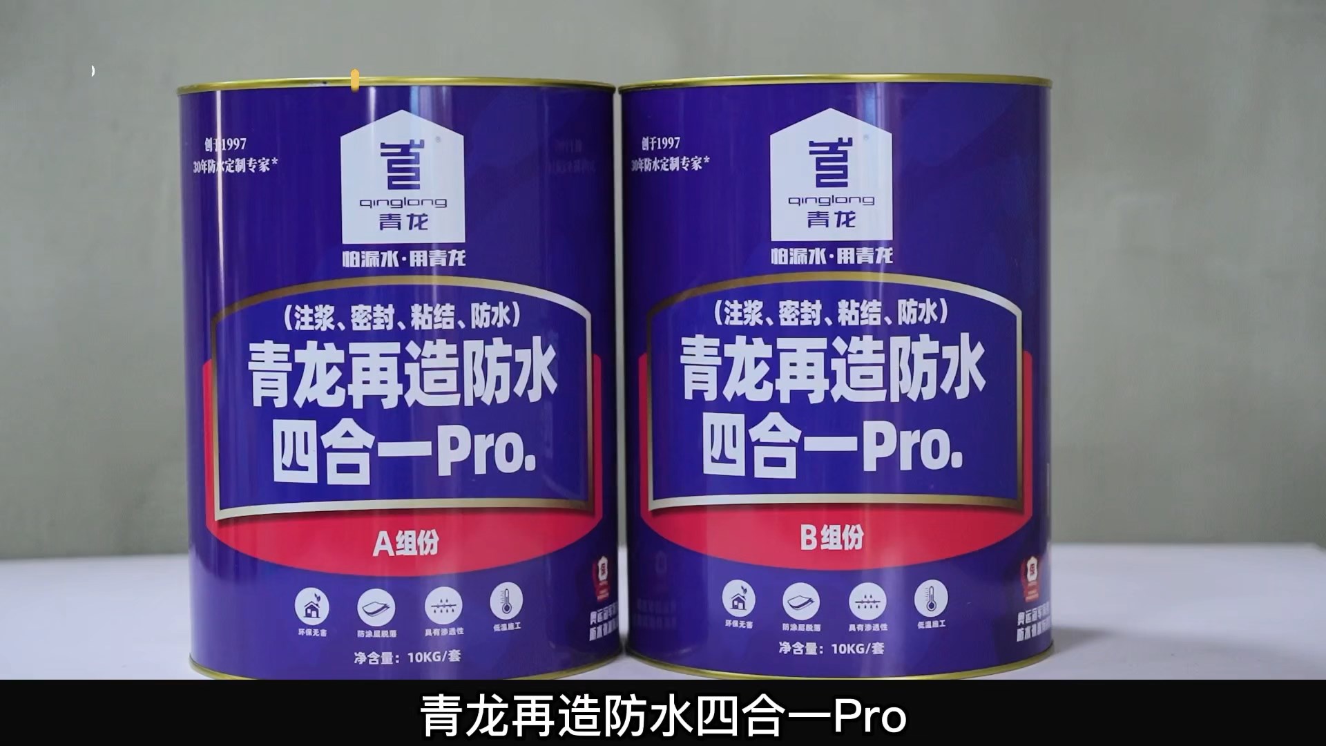 青龍再造防水四合一 Pro.(注漿、密封、粘結 、防水)